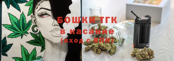 индика Богородск