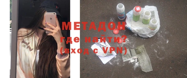 индика Богородск