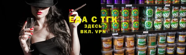 индика Богородск