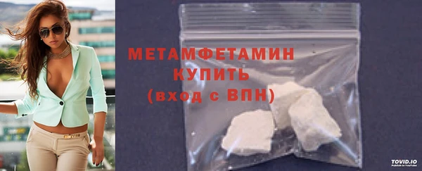 индика Богородск
