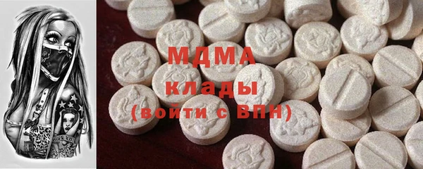 индика Богородск