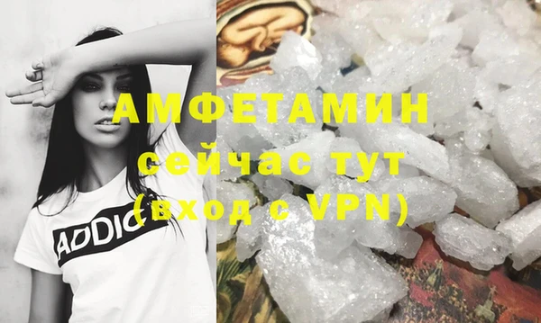 индика Богородск