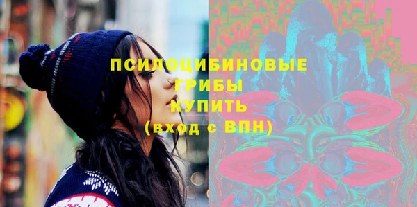 spice Богданович
