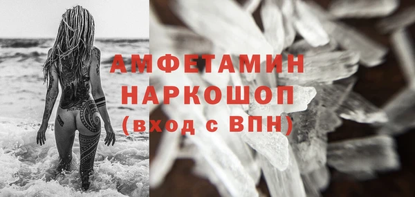 индика Богородск