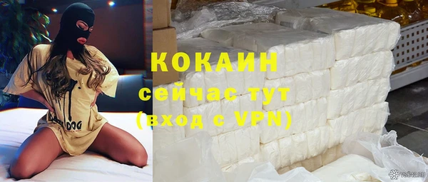 spice Богданович