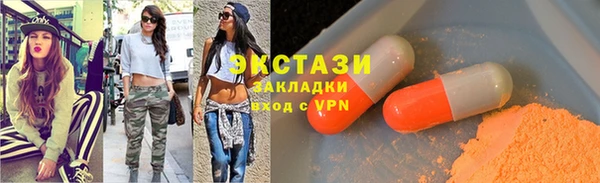 индика Богородск