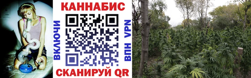 Конопля AK-47  блэк спрут ТОР  Тихвин 